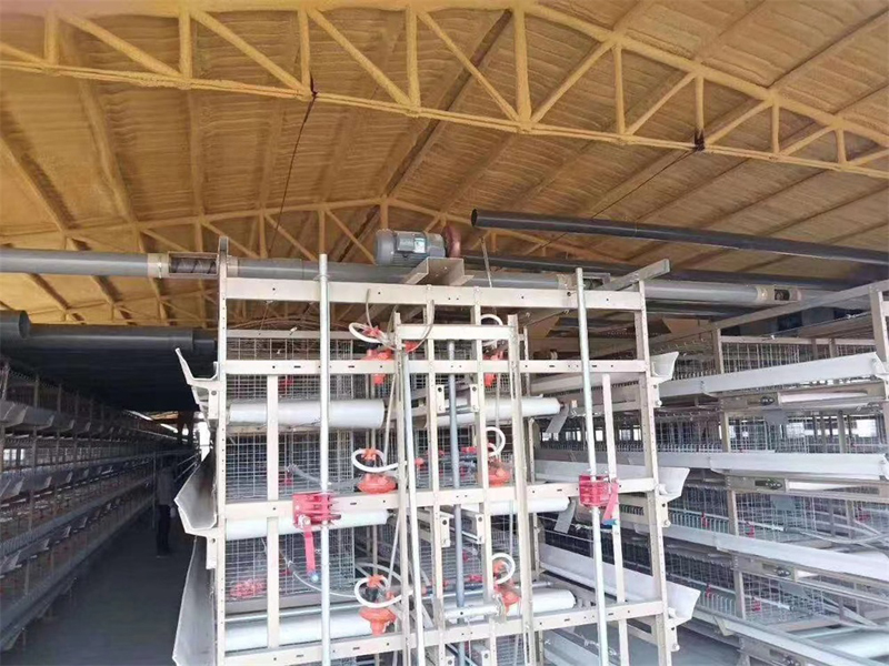 養(yǎng)殖棚舍保溫