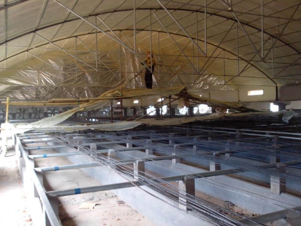 養(yǎng)殖棚舍保溫